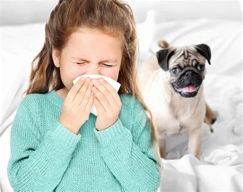Aashwas | Pet Allergy Treatment in kolkata by experienced Allergist