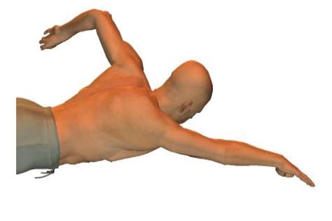 Front Crawl Swimming 的图像结果