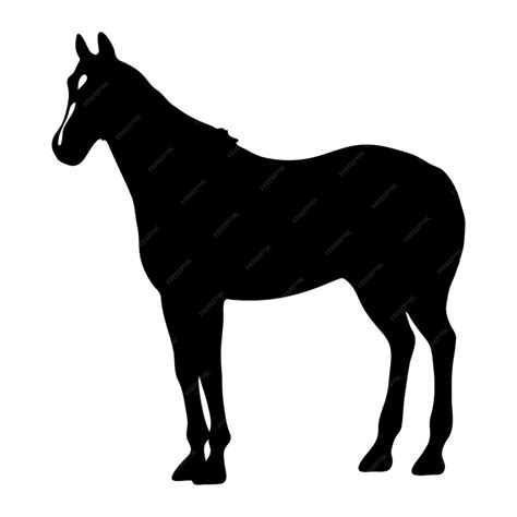 Silhouette Of Horse