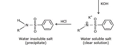Physical and Chemical Properties of Amines - Chemistry Class 12 - NEET ...