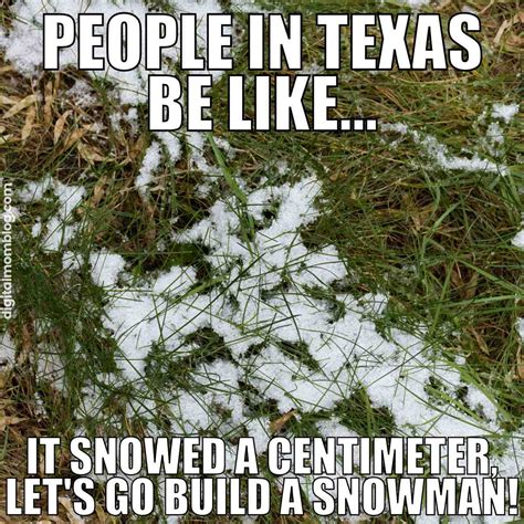 35 Hilarious Texas Winter Memes To Warm Your Heart