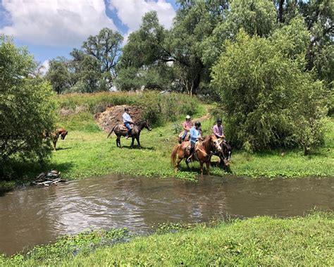 CABALGATAS LAS HACIENDAS HORSEBACK ADVENTURES (2026) All You Need to ...