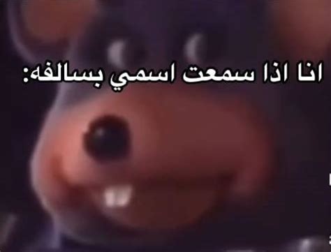 Image result for How Do I Translate Python Out of Arabic Meme