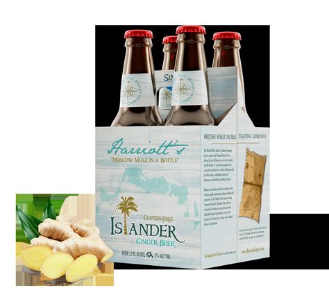 Ginger Beer Expert at Blanche Carter blog