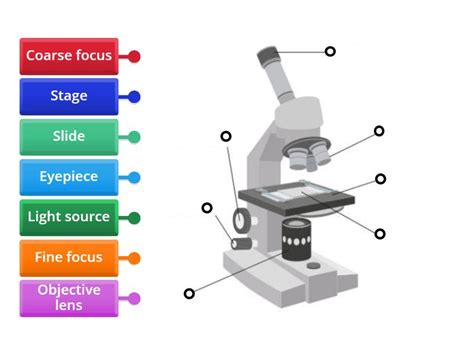 Science Microscope Labelled 的图像结果