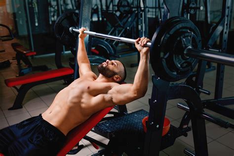 Image result for Musculation Dos