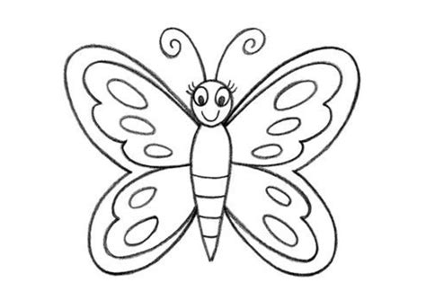 butterfly drawing without colour