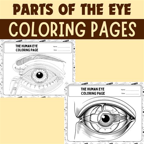Coloring Pages Eye [2025]