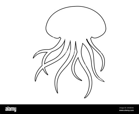 Black outline of Jellyfish with flowing tentacles. Isolated on white background. Oceanic medusa ...