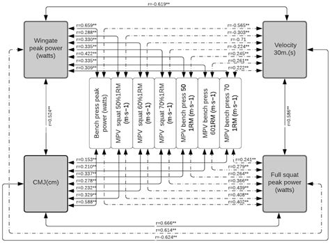 Relationship between Dynamic and Isometric Strength, Power, Speed, and ...