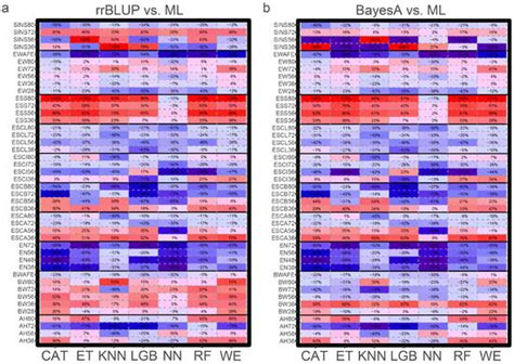 Integrating Bioinformatics and Machine Learning for Genomic Prediction ...