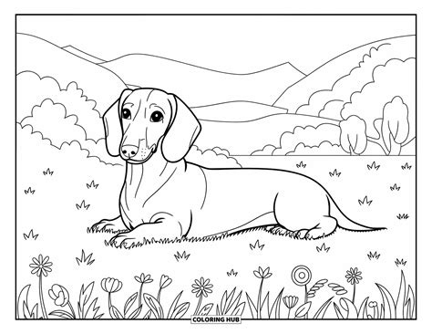 70+ Wiener Dog Coloring Pages for Kids & Adults (Free Printable PDFs)