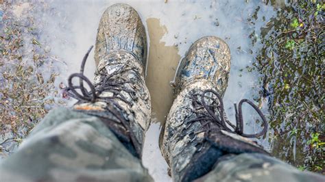 Farmer given suspended prison sentence for persistently allowing slurry ...