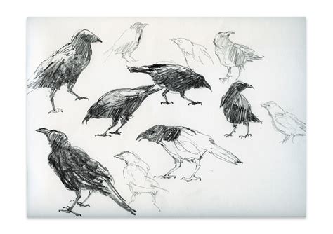 Book Cover Design: Max Porter’s Grief Is the Thing with Feathers | Faber