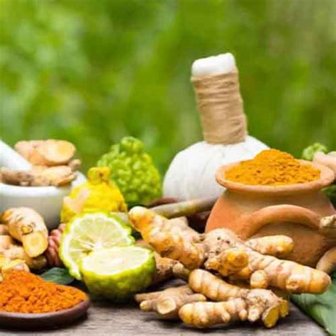 Ayurveda course in Rishikesh - Real Happiness
