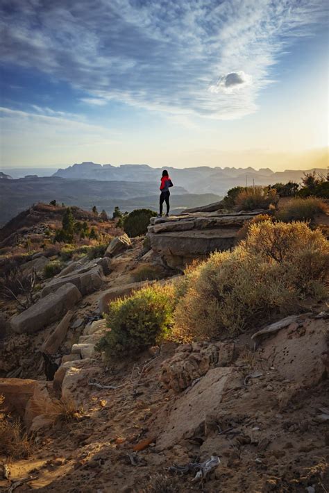 Explore Zion National Park With Expert Tours | East Zion