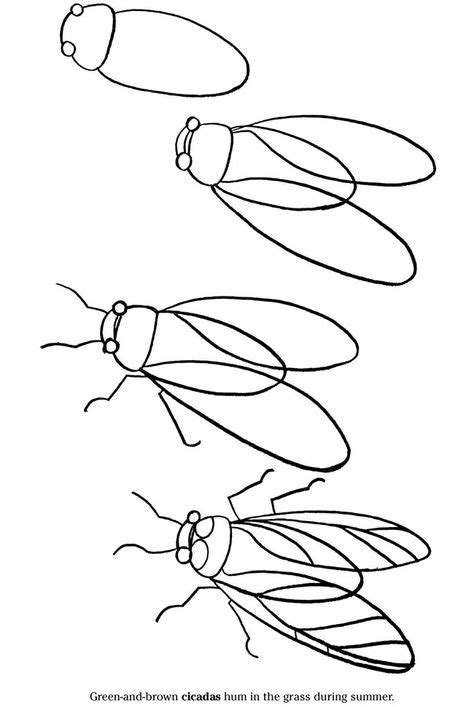 Step by Step Drawing Insects 的图像结果
