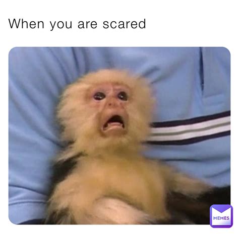 Scared Face Meme