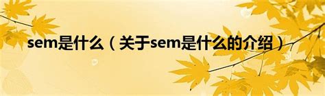 Schematic form of SEM. | Download Scientific Diagram