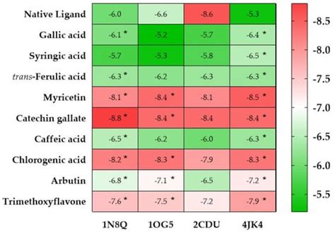 LC–MS/MS Phytochemical Profiling, Antioxidant Activity, and ...