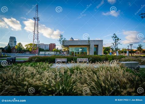 Grasses and Buildings at First Ward Park, in Charlotte, North Ca ...