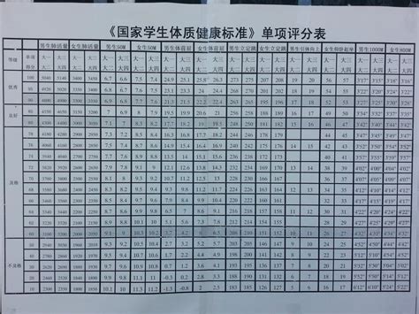 大学生体侧标准表_2023高考后大学生体侧标准评分表