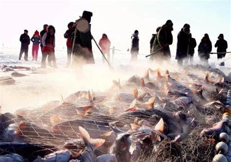 吉林查干湖开启冬捕大幕 “头鱼”拍出近三百万元