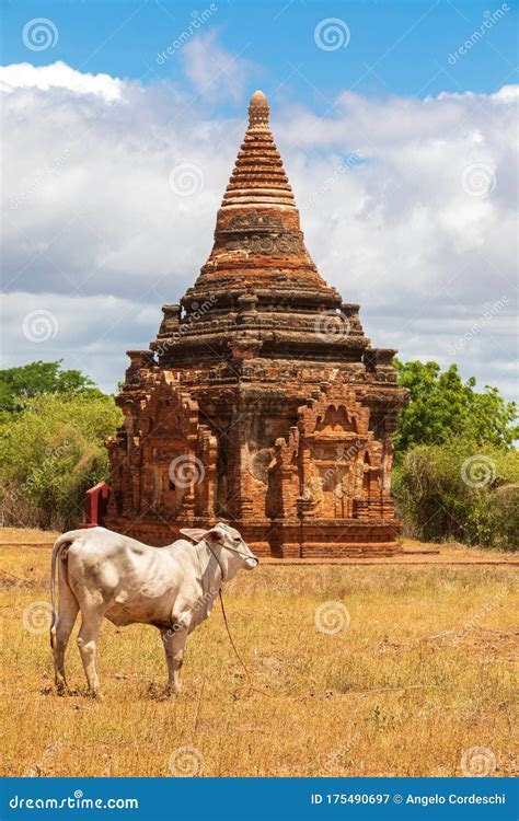 Ruins of Bagan, Myanmar. Religion, Buddhist. Stock Image - Image of dawn, green: 175490697