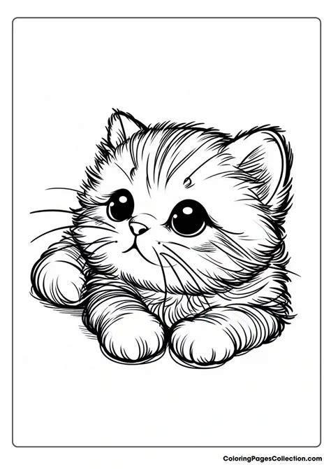 Cute Kitten Coloring Pages - Printable & Free