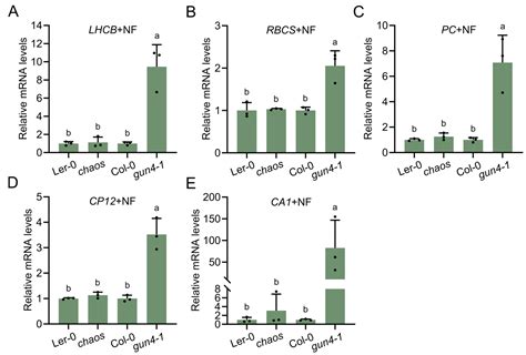 Coordinated cpSRP43 and cpSRP54 Abundance Is Essential for Tetrapyrrole ...