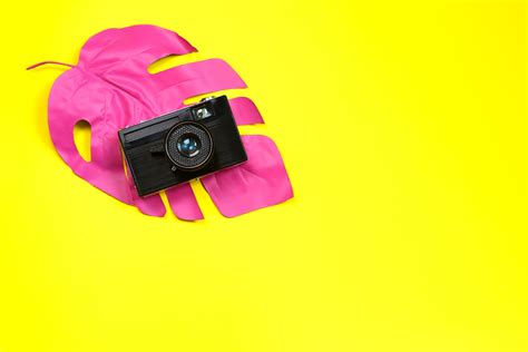 Free Stock Images Sied 的图像结果