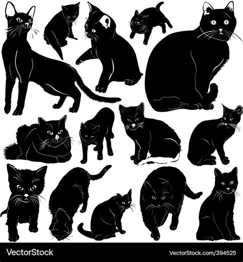 Cat Vector 的图像结果