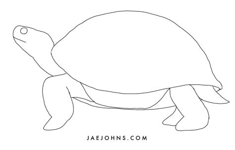 Image result for How to Draw House Using a Turtle