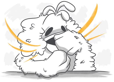 How Long Do Puppies Sleep?