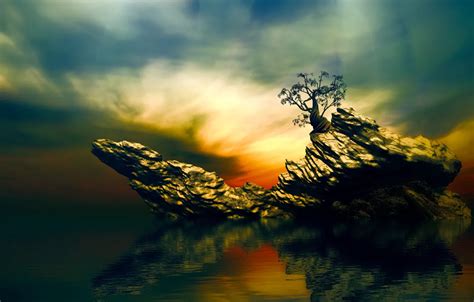 Wallpaper the sky, reflection, tree, rocks, lonely tree for mobile and ...