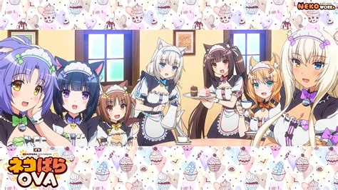 Image result for Edit exe Code Notepad