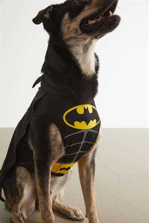 Batman Dog Accessories