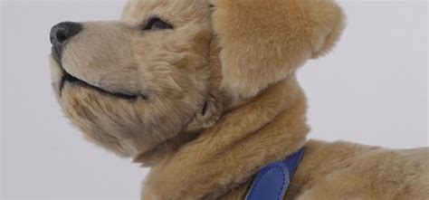 This Robot Labrador Is Just Like A Real Dog Were Pawsitive About The ...