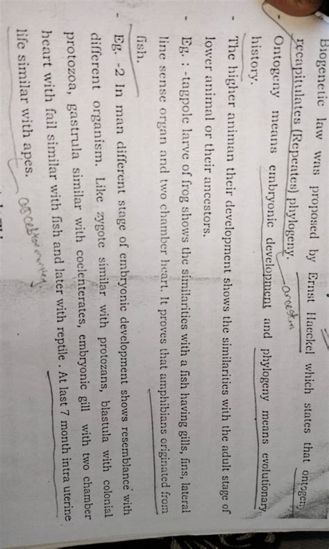 BioGenetic 的图像结果