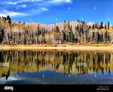 Wasatch Front 的图像结果