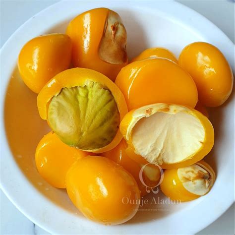 Monkey Kola Fruit Plant (Cola Lepidota) – veliyathgardens