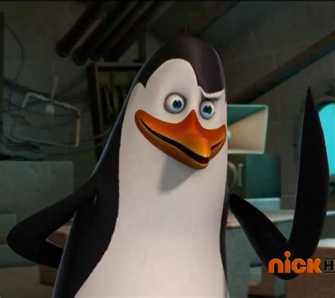 Kowalski | Penguins of madagascar, Penguins, Cute animal drawings