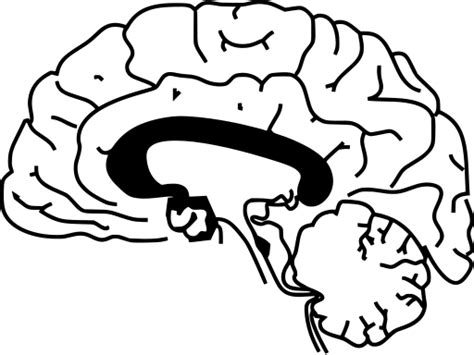 Image result for OpenCV Tutorial Python