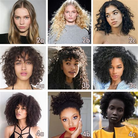 Different Hair Types Chart