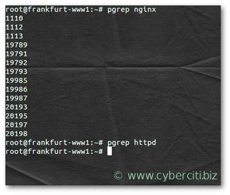 Image result for Running Linux