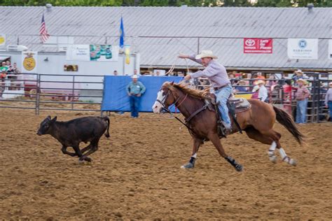 Vanderburgh County Fair | Fun For Everyone