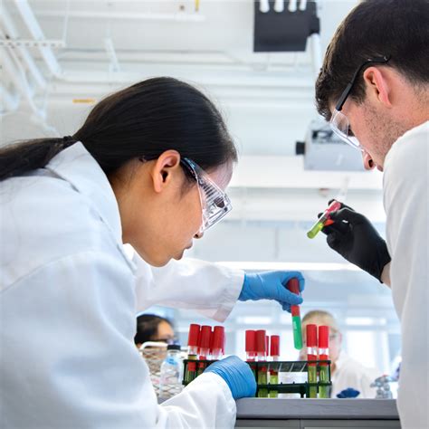 Research | Cornell University College of Veterinary Medicine