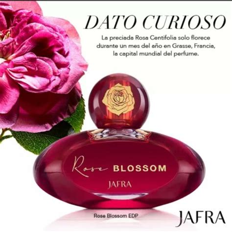 Buy JAFRA Rose Blossom 1.7 fl. oz. 50 ml. New In box Perfume Para Dama ...