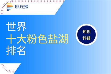 Python Automation Scripts for Beginners 的图像结果