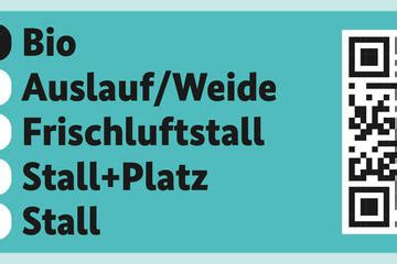 Tierhaltungskennzeichnung nun auch für Rindfleisch: Scharfe Kritik von ...